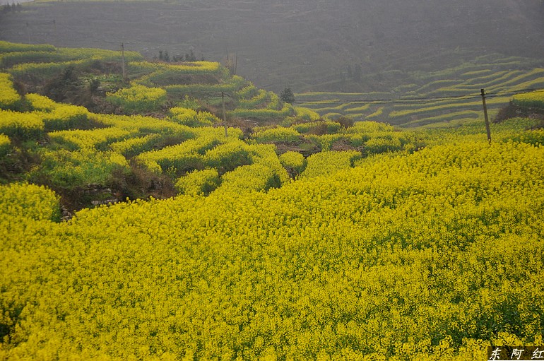 dsc_0484.jpg