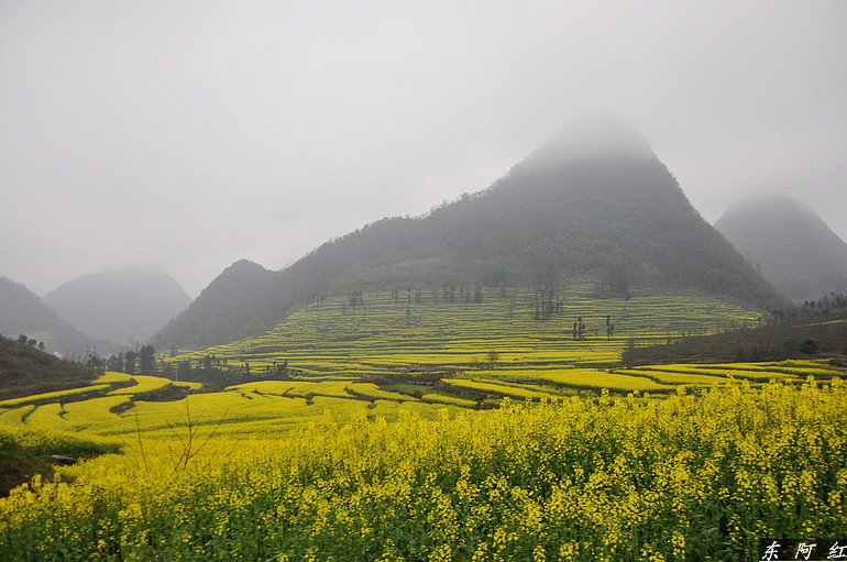dsc_0503.jpg