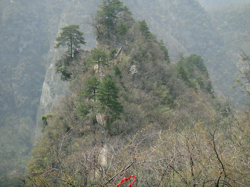 dsc00481_.jpg