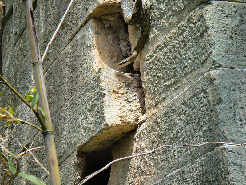 dsc00483_.jpg