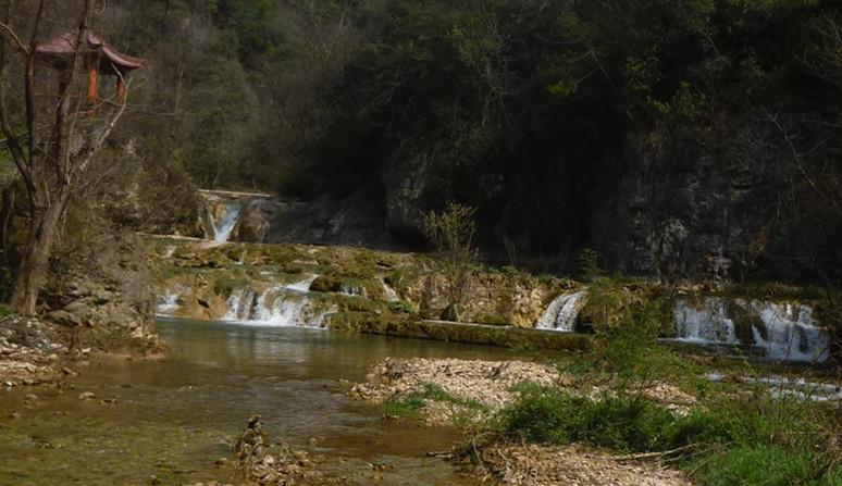 p1110148_.jpg