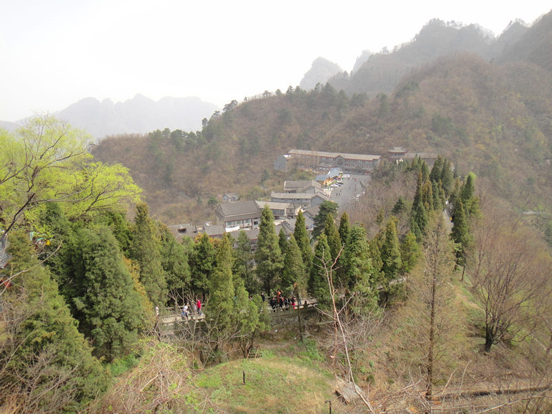 dsc00486_.jpg