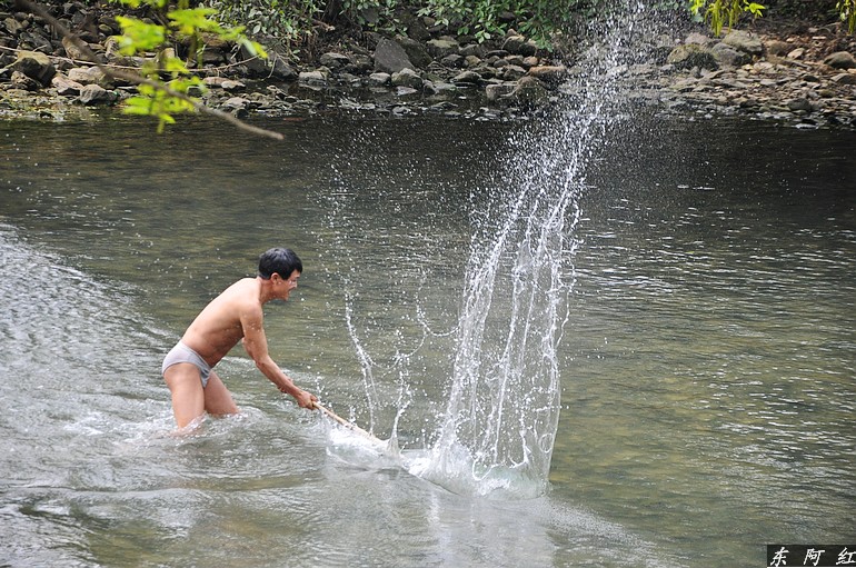 dsc_0603.jpg