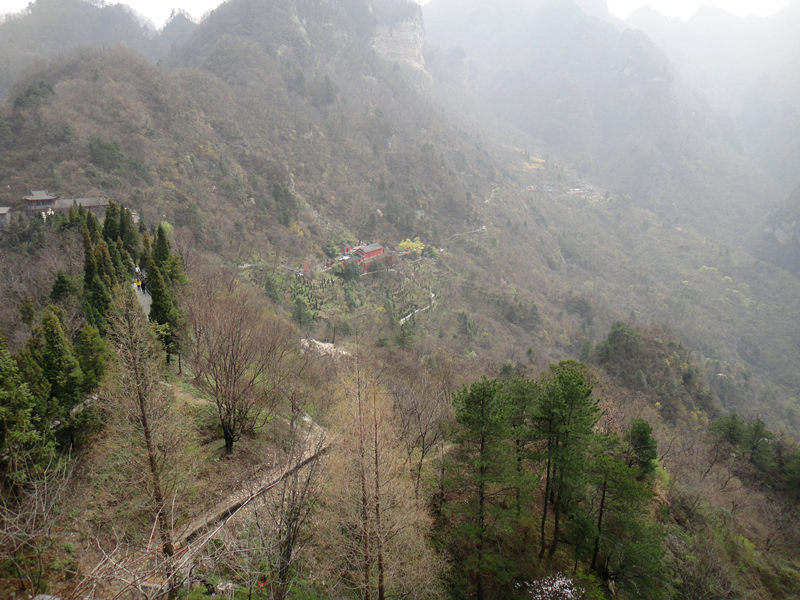 dsc00487_.jpg