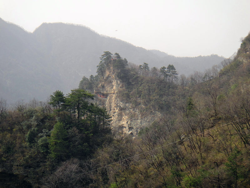 dsc00501_.jpg