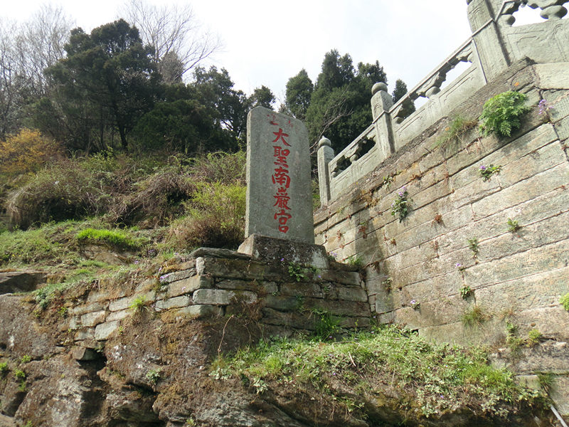 dsc00488_.jpg