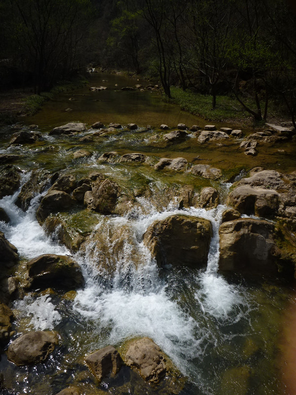 p1110149_.jpg