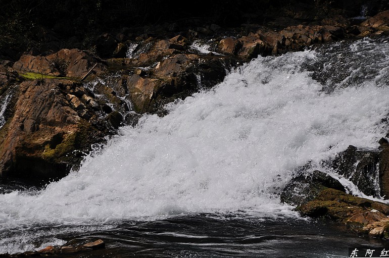 dsc_0637.jpg