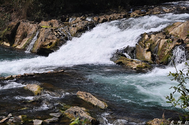 dsc_0638.jpg