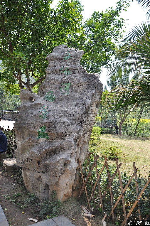dsc_0643.jpg