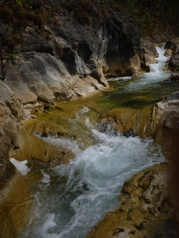 p1110155_.jpg