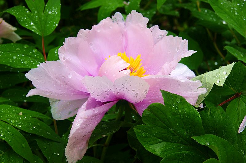 dsc08576.jpg
