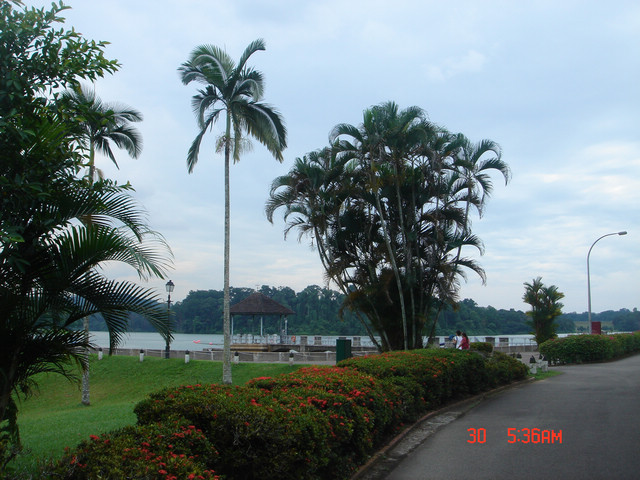 dsc09665.jpg
