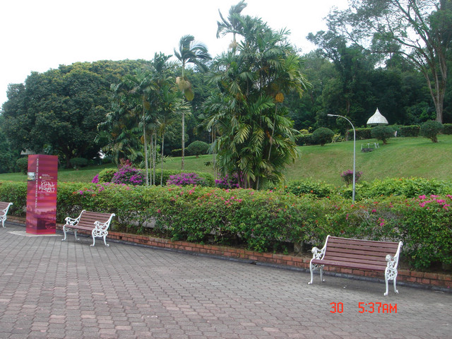 dsc09666.jpg