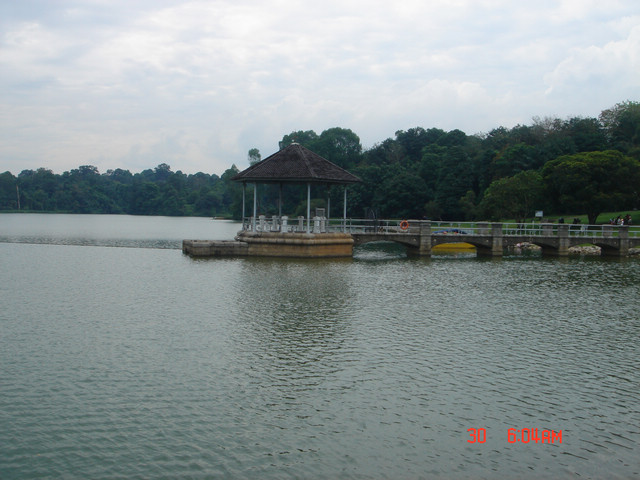 dsc09674.jpg