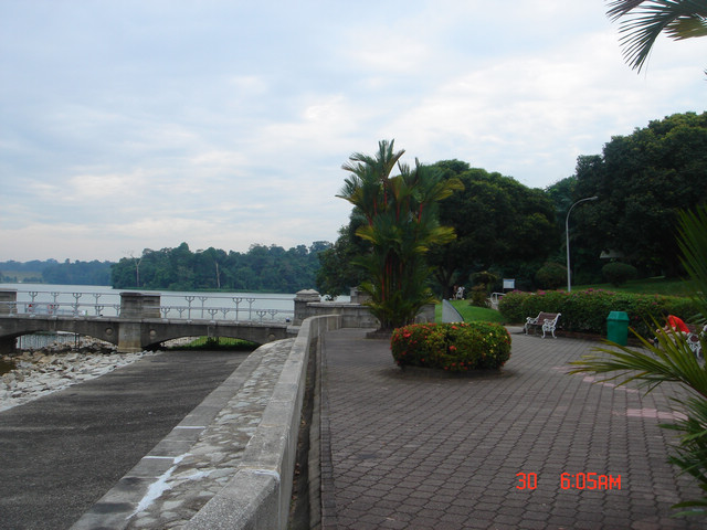 dsc09675.jpg