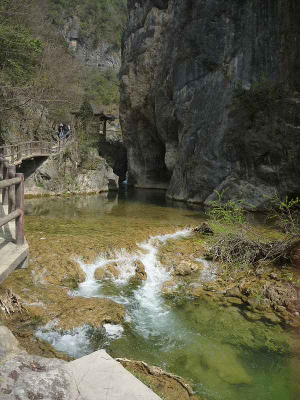 p1110162_.jpg