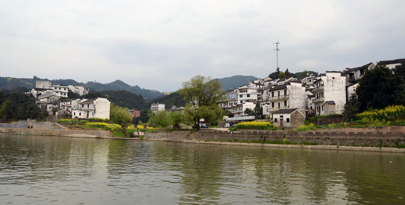 dsc_7333.jpg