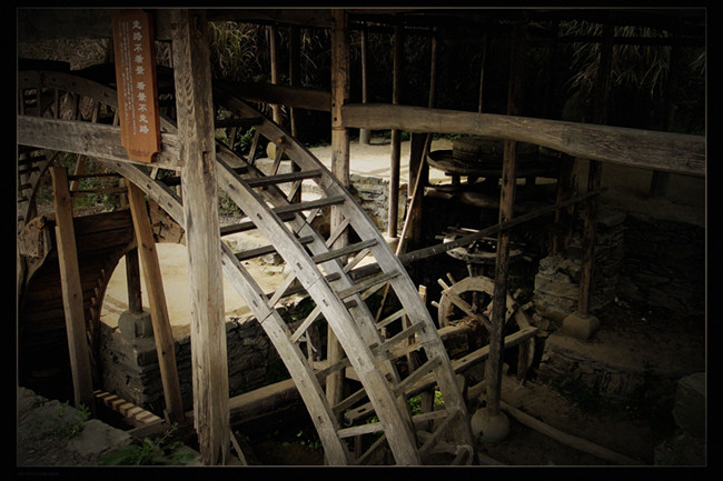 dsc03081_.jpg