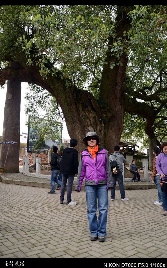 dsc_7405_conew1.jpg