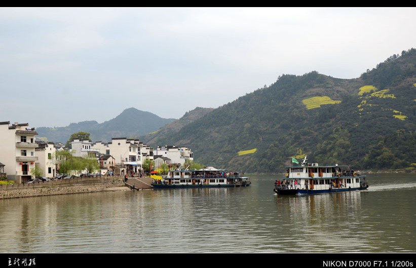 dsc_7452_conew1.jpg