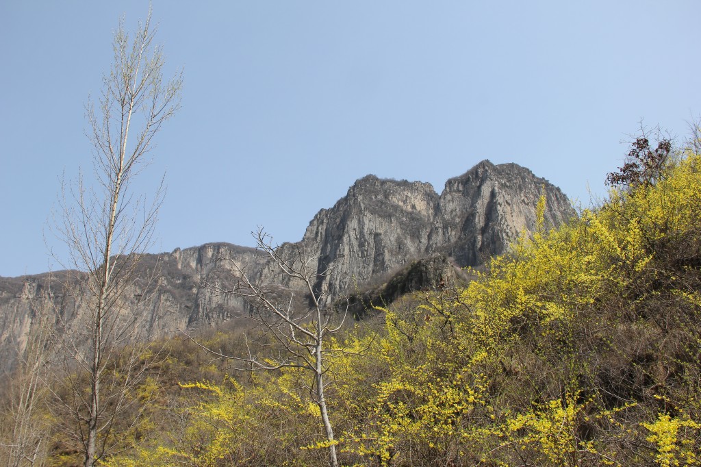 img_8651.jpg