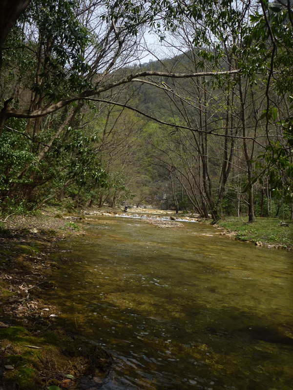 p1110173_.jpg