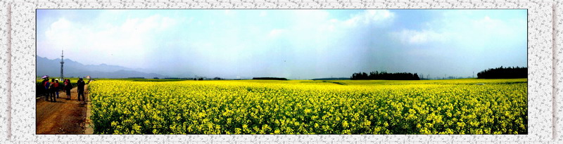 .֮ (29).jpg