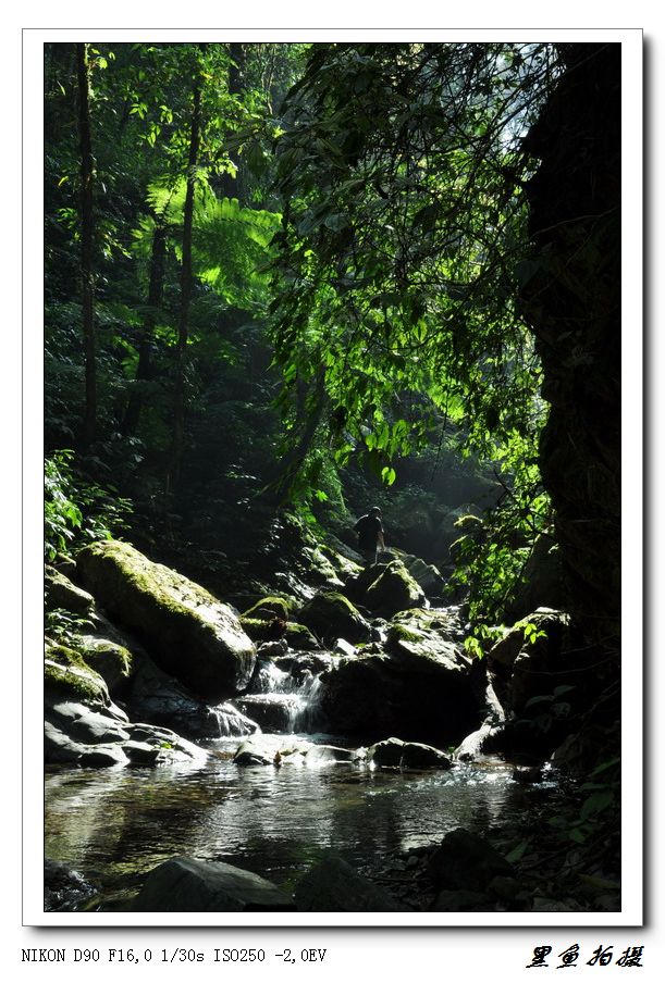 .֮ (43).jpg