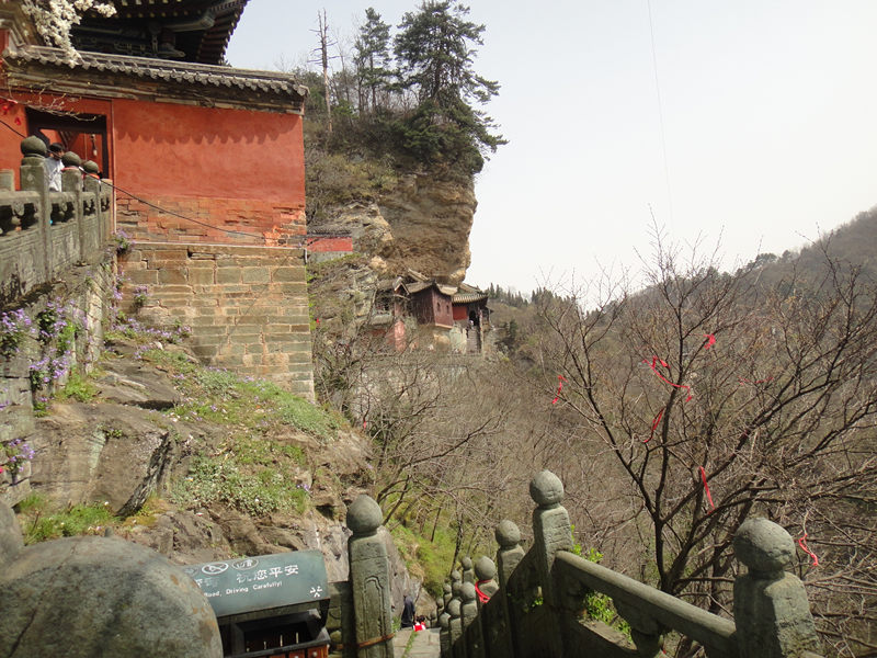 dsc00482_.jpg