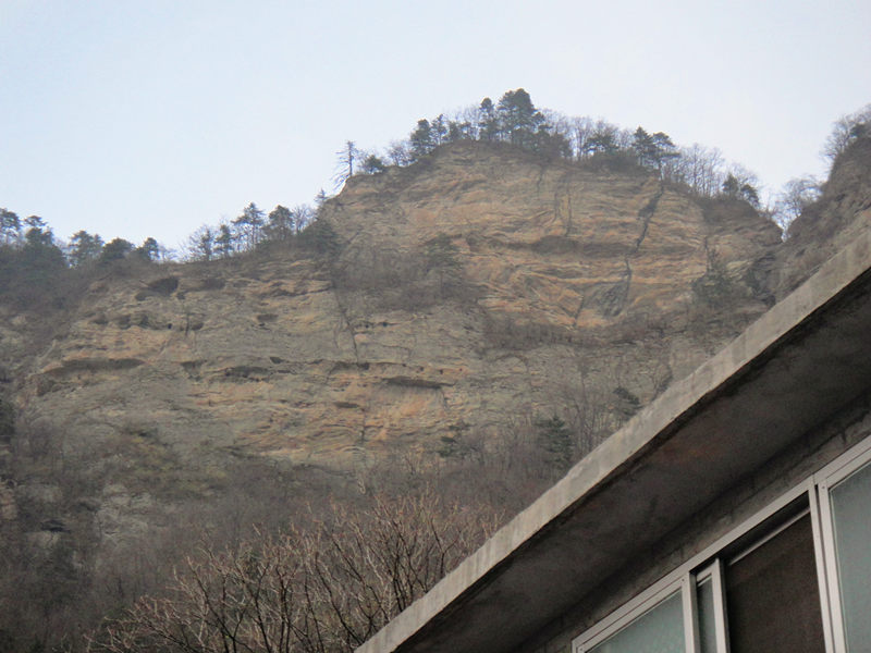 dsc00524_.jpg