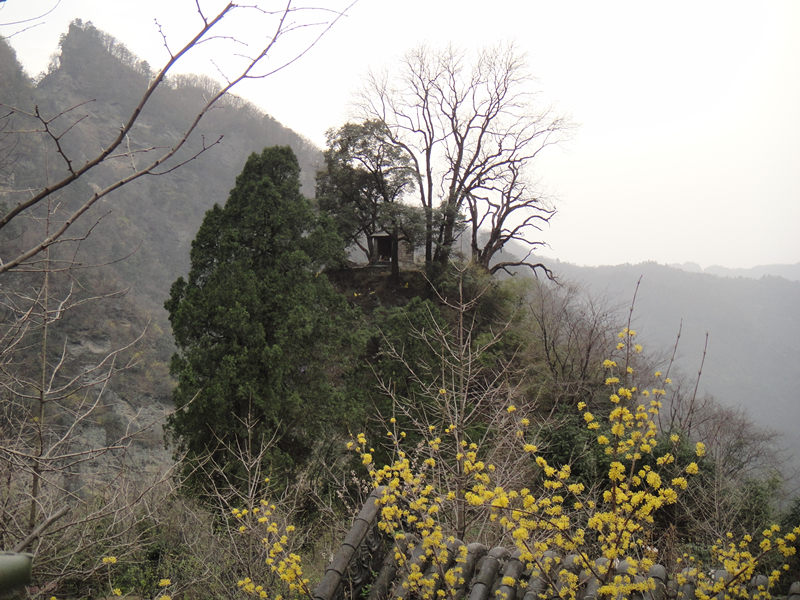 dsc00532_.jpg
