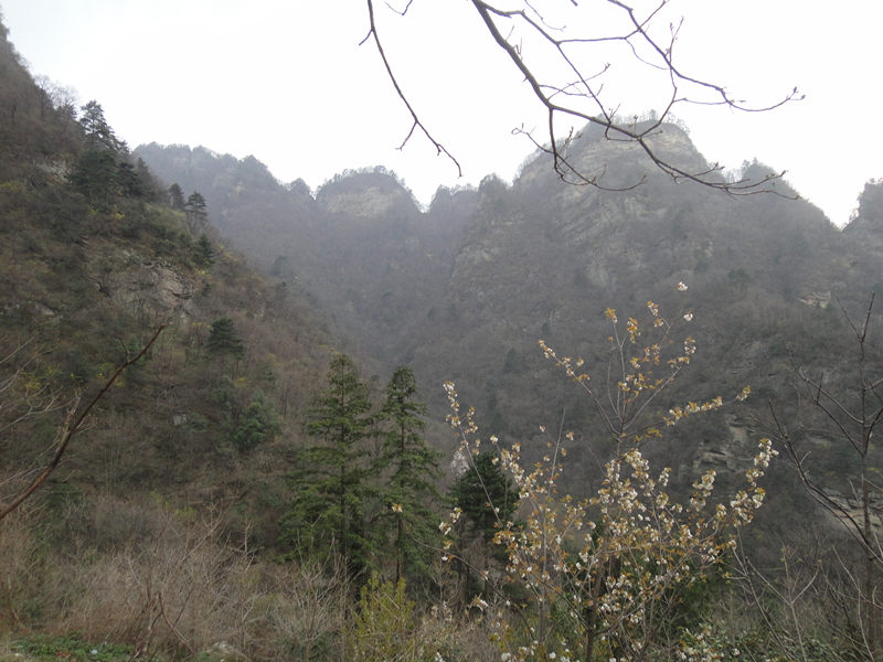 dsc00534_.jpg