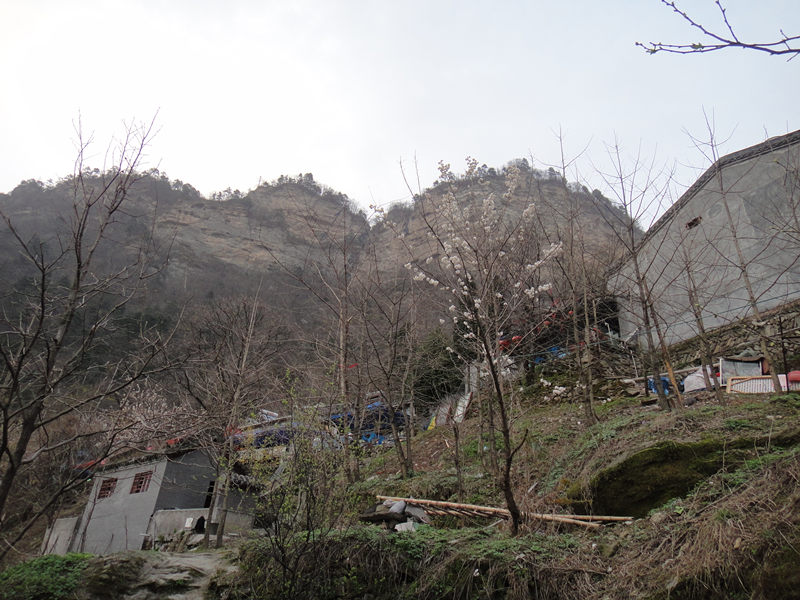 dsc00537_.jpg