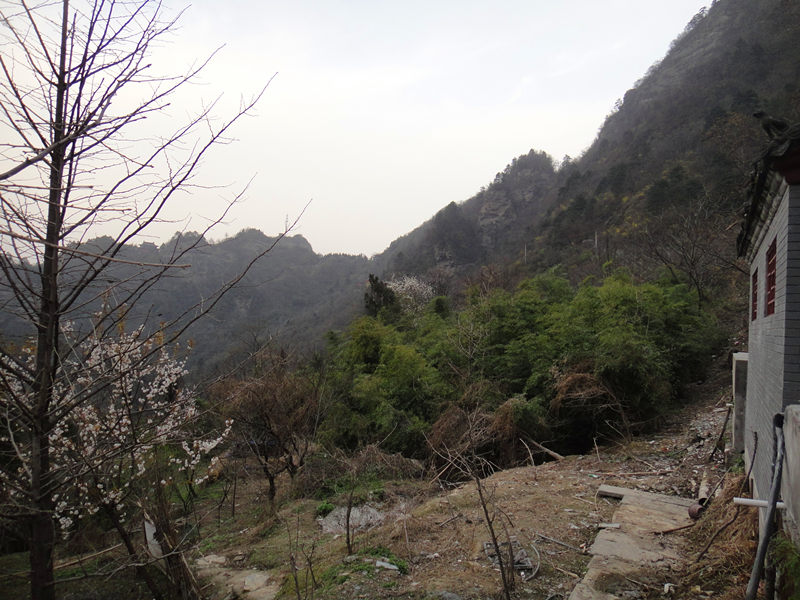 dsc00538_.jpg
