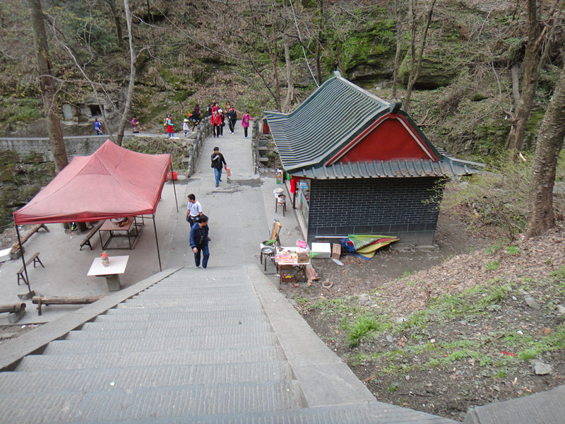 dsc00543_.jpg