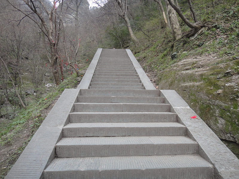 dsc00544_.jpg