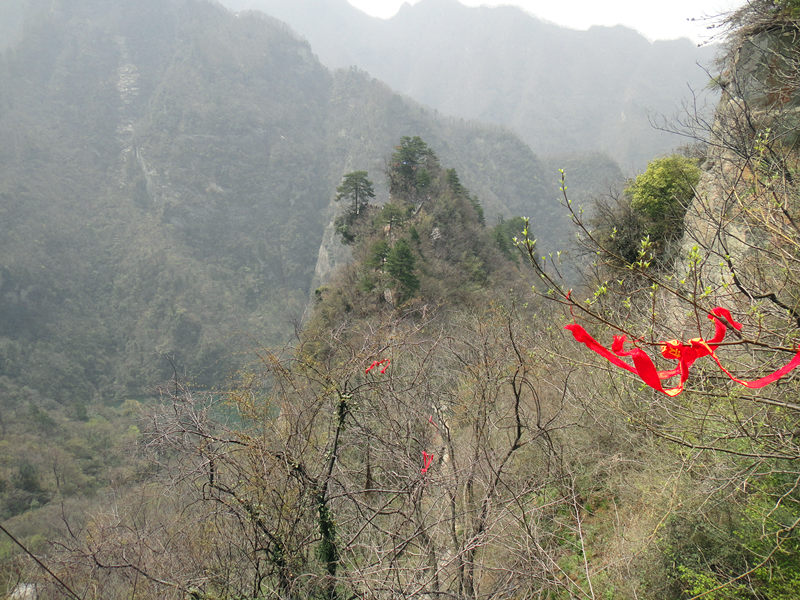 dsc00480_.jpg