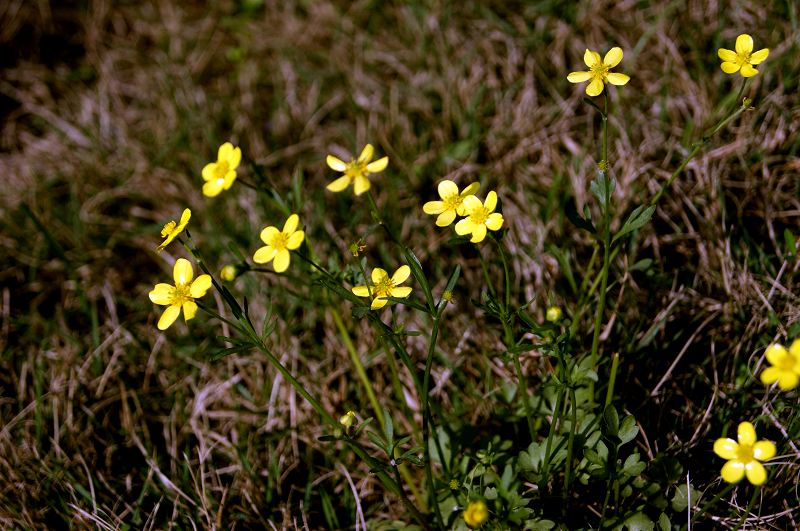 dsc07464.jpg