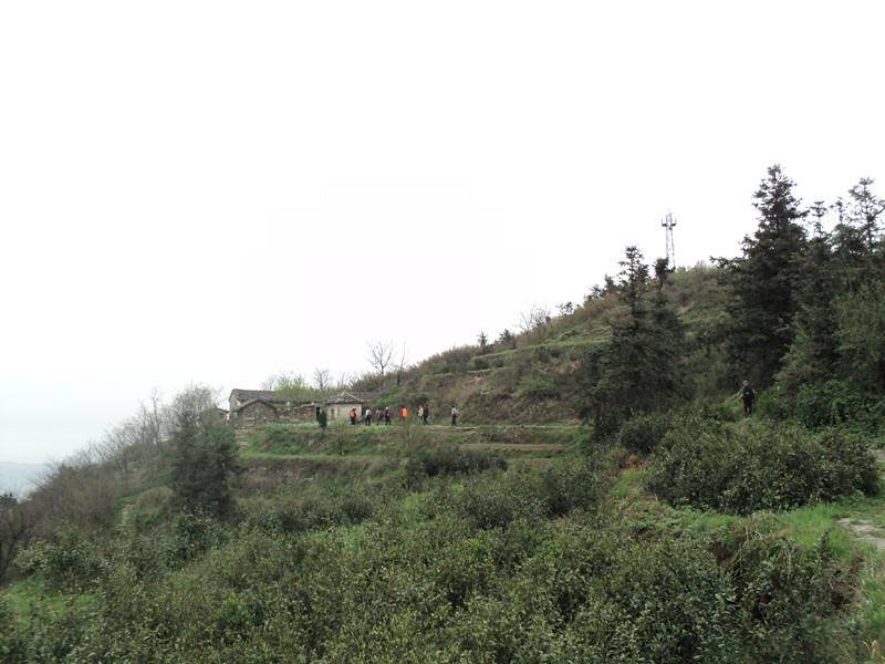 dsc07949_.jpg