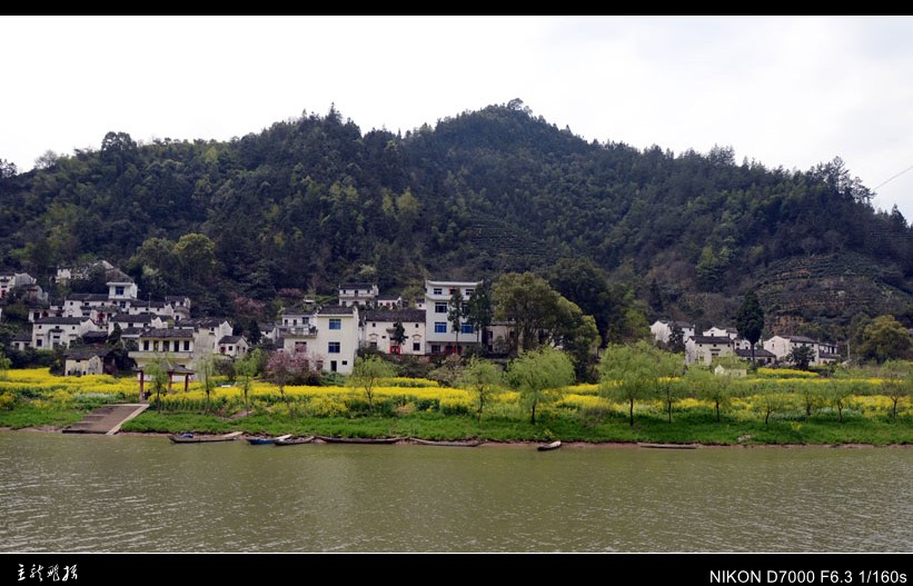 dsc_7463_conew1.jpg