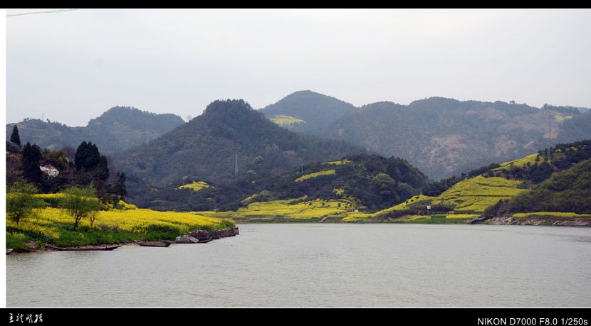 dsc_7464_conew1.jpg
