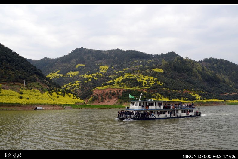 dsc_7485_conew1.jpg