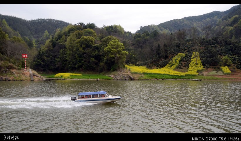 dsc_7488_conew1.jpg