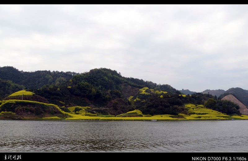 dsc_7497_conew1.jpg
