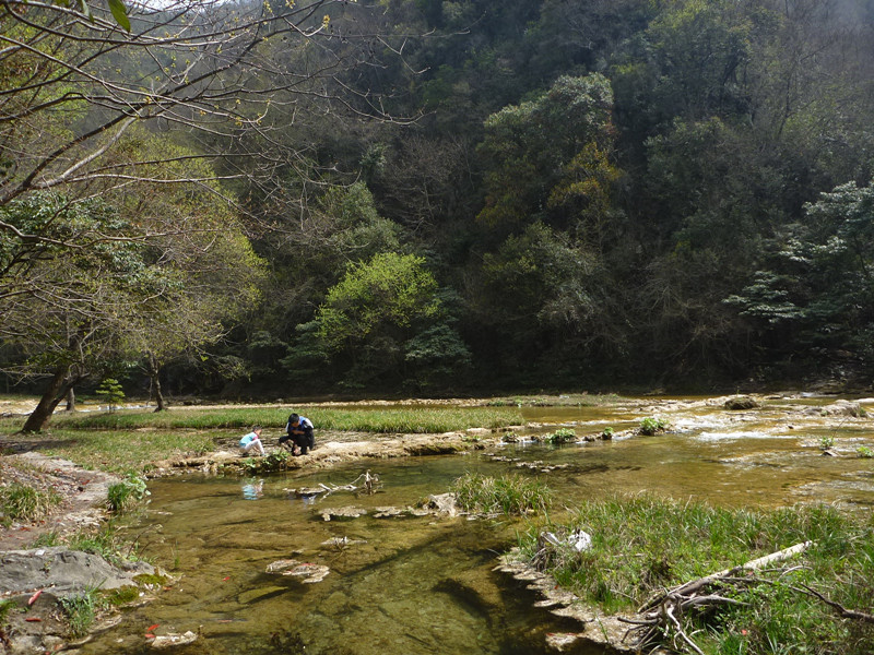 p1110185_.jpg