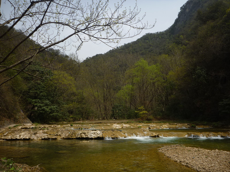 p1110178_.jpg
