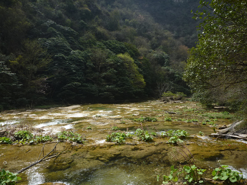 p1110181_.jpg