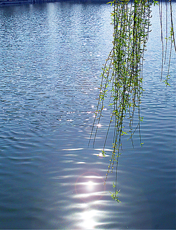 file102000_.jpg