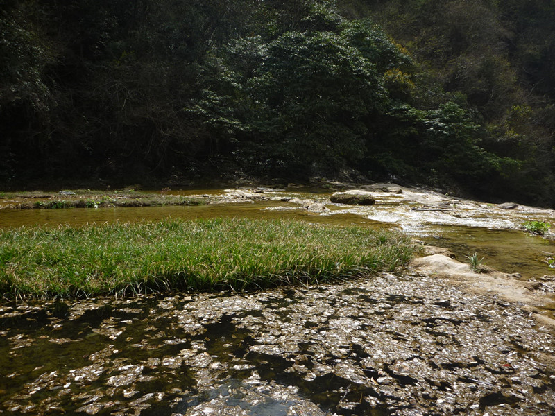 p1110188_.jpg